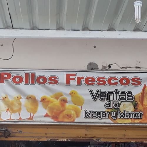 Opiniones de POLLOS FRESCOS en Guayaquil - Carnicería