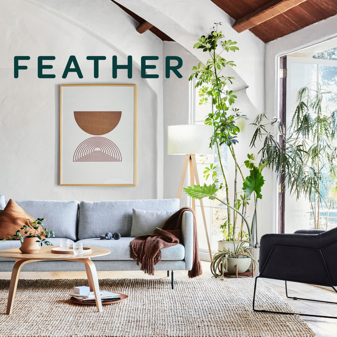 Feather offices