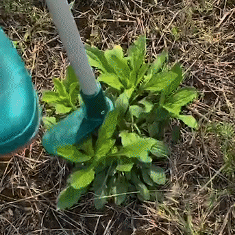 Ilumina Hogar™ Weed Remover Tool