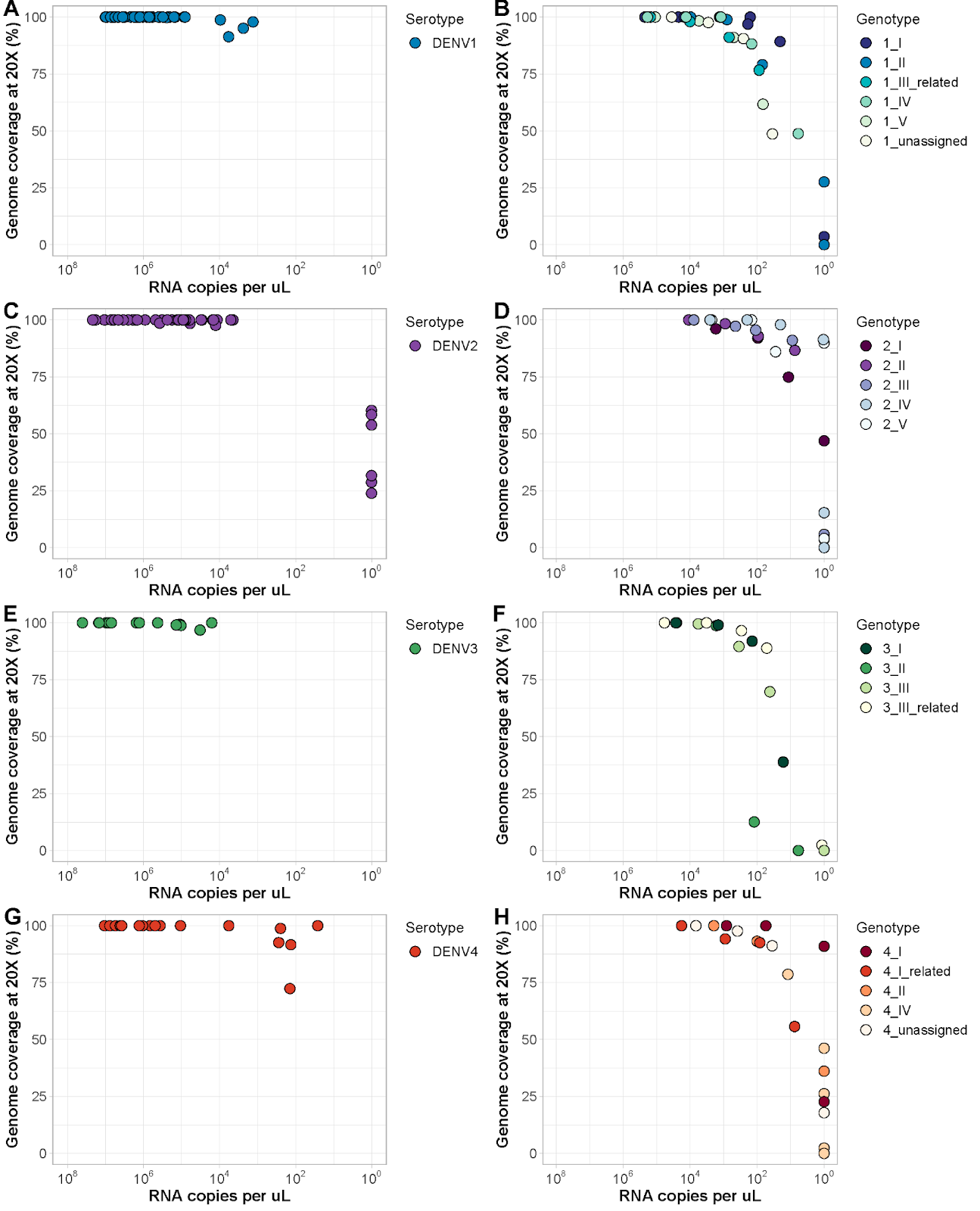 Figure 2: Pan-serotype primers - Percent genome coverage of undiluted and diluted dengue virus stocks sequenced with the pan-serotype dengue virus amplicon-based sequencing approach. The same dengue viruses as shown in Figure 1 were sequenced, by using the pan-serotype approach. The four individual primer schemes were mixed for use as a single universal pan-serotype dengue virus scheme. Consensus genomes were generated at a depth of coverage of 20X using iVar (version 1.3.1). Genome coverage at 20X for undiluted dengue virus serotype 1 (A), 2 (C), 3 (E), and 4 (G) virus stocks. Each dot represents a different dengue virus stock. Genome coverage at 20X for selected dengue virus serotype 1 (B), 2 (D), 3 (F), and 4 (H) virus stocks diluted until no longer detected by the CDC real-time RT-PCR assay. Dots represent dengue virus stocks diluted to different concentrations. Some samples have high coverage, while not detected by the real-time RT-PCR assay, which is due to mismatches with the primer or probe sequences (lower sensitivity).