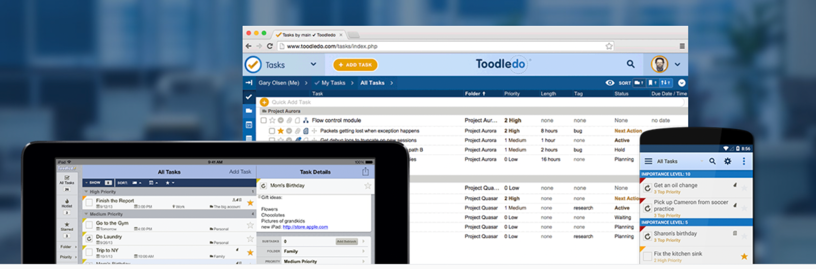 An overview of Toodledo on browser and ipad