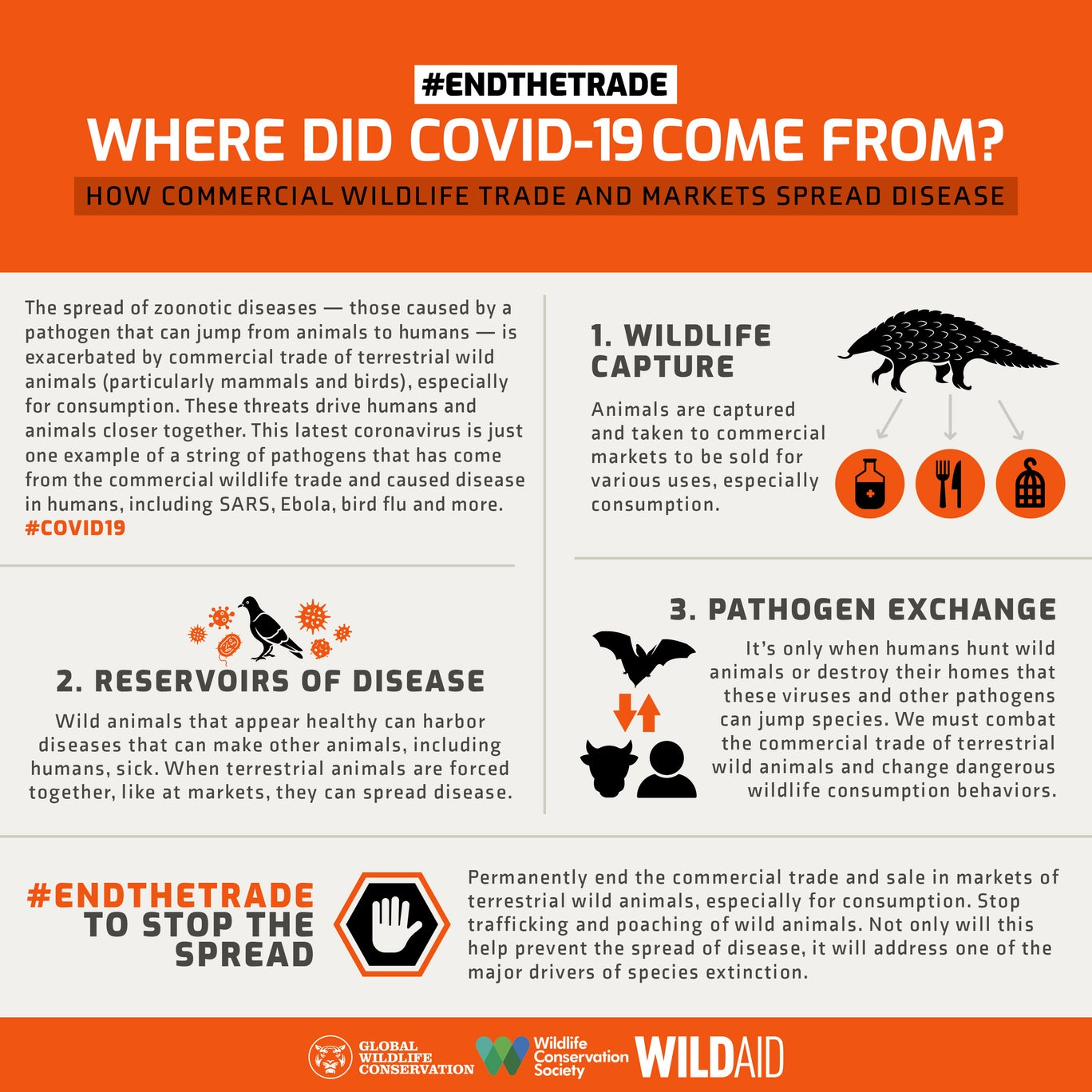 Where did Covid-19 come from? The link between factory farming and the coronavirus