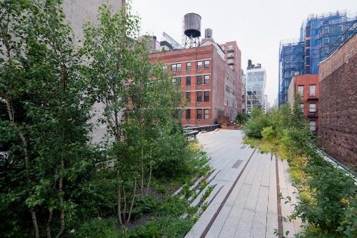 H:\High Line\Section 2 (West 20th Street - West 30th Street)\Chelsea Thicket.jpeg