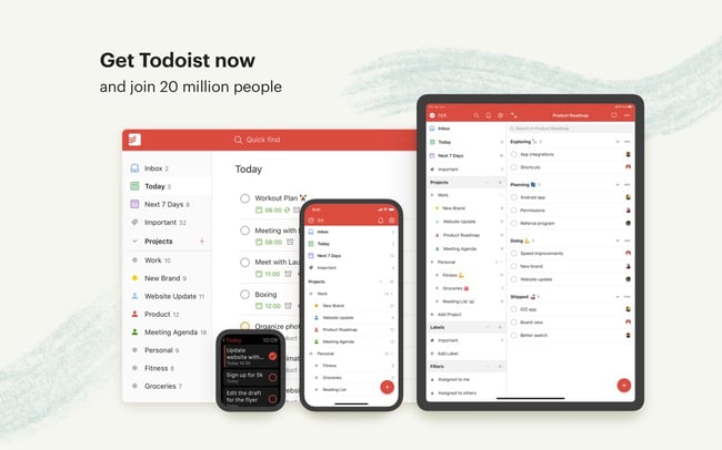 Todoist-software-example