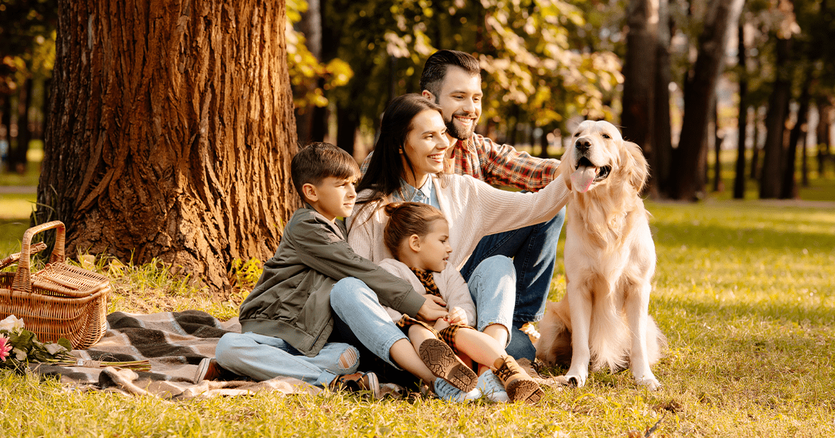 happy retriever outside with family