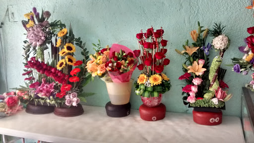 Tere Floristería y Regalos florería en  en la zona Reforma
