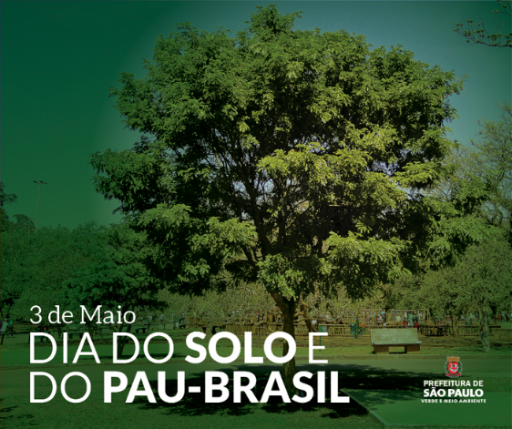 Dia do solo e do Pau-Brasil é celebrado neste domingo | Secretaria ...