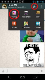 Download Chat Stickers (emoji, memes) apk