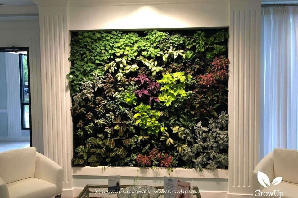 Colorful greenwall in a home