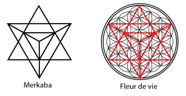 Utilisation de la Fleur de Vie : 7 applications - Gaïamamart