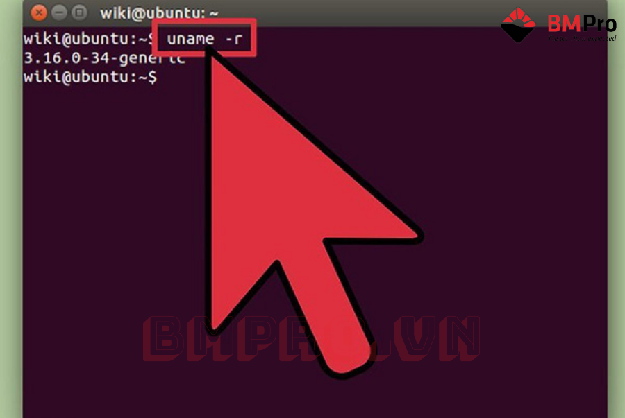 Cách kiểm tra tốc độ xử lý của CPU trên máy tính Linux