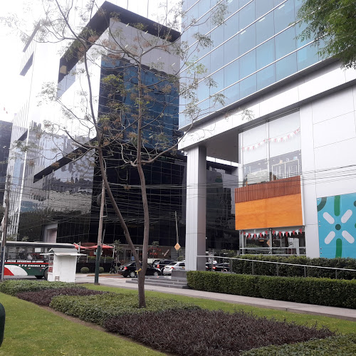 Sapia - Oficina de empresa