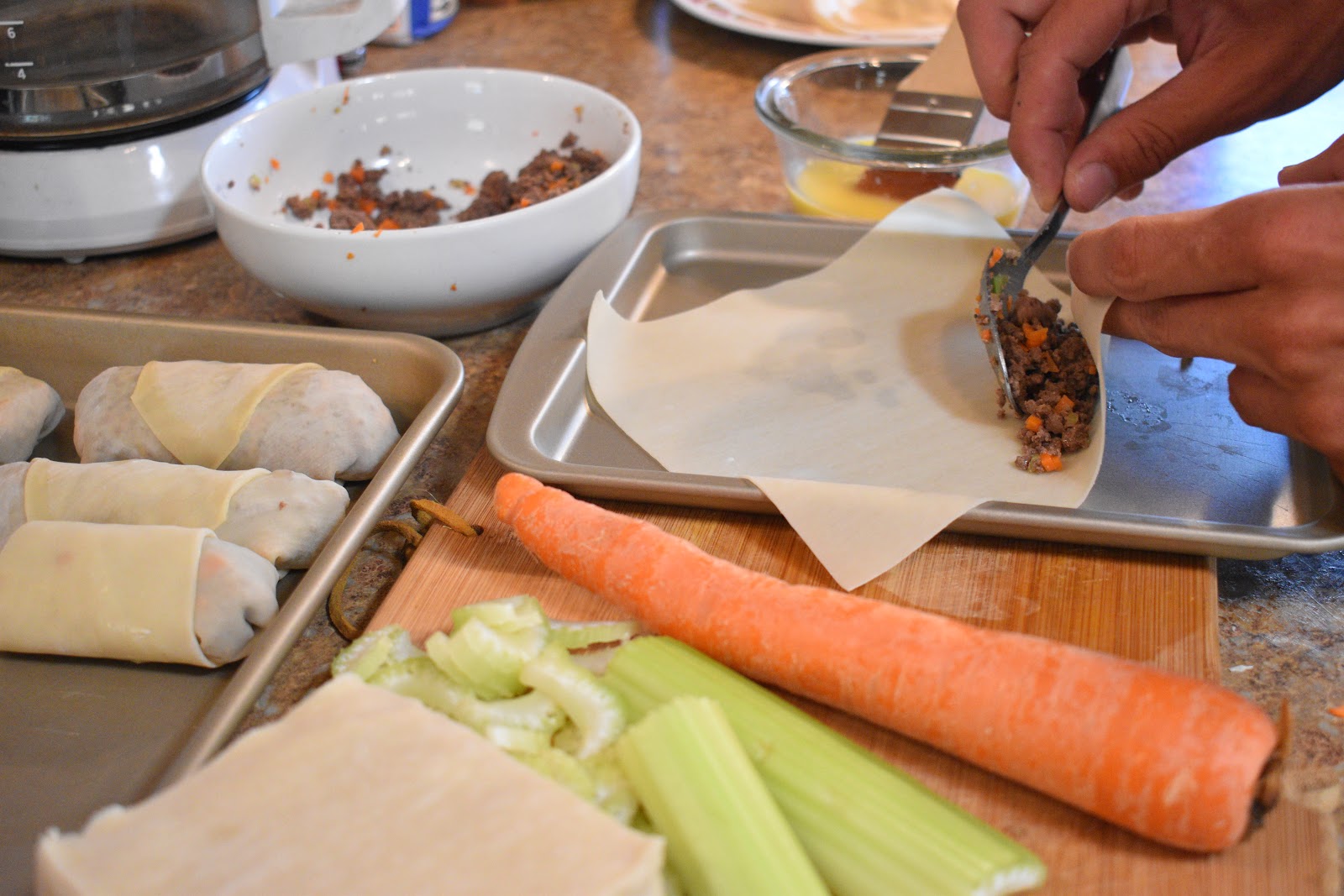 Venison Recipe Lumpia