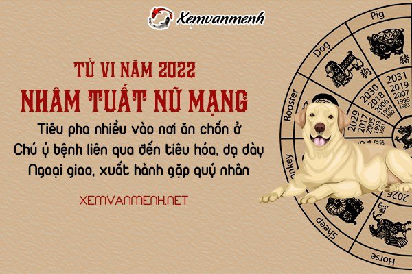 tu-vi-tuoi-nham-tuat-nam-2022-nu-mang-1982