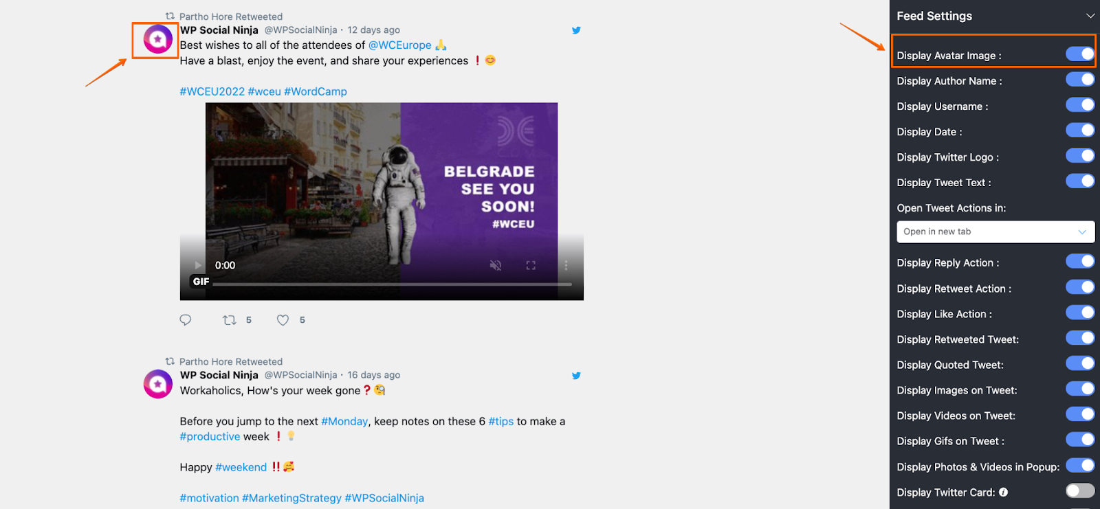 Twitter feed settings: Display Avatar Image