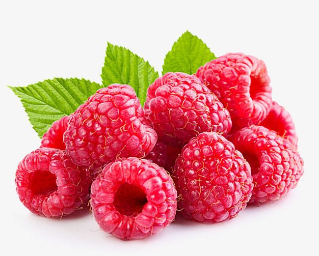 Raspberries with limited sugar content apt for a keto diet