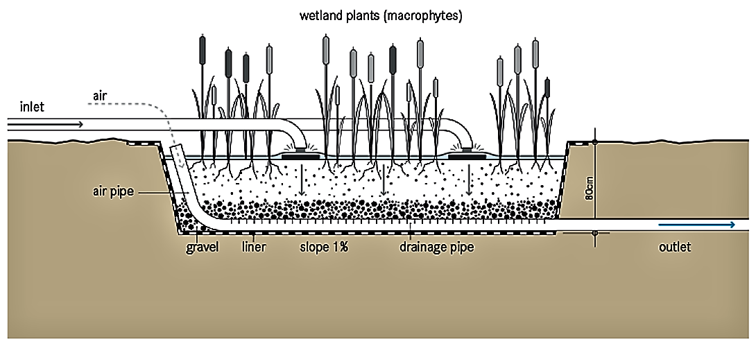 Vertical Subsurface Flow Constructed Wetland