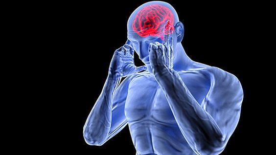 Is Brain Muscle