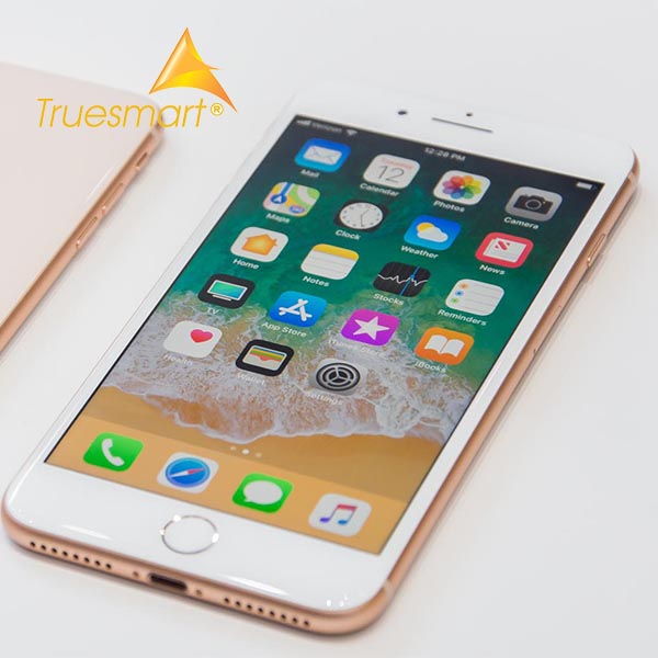 Thay cáp rung iPhone 8/8Plus/X