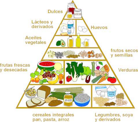 piramide vegetariana.jpg