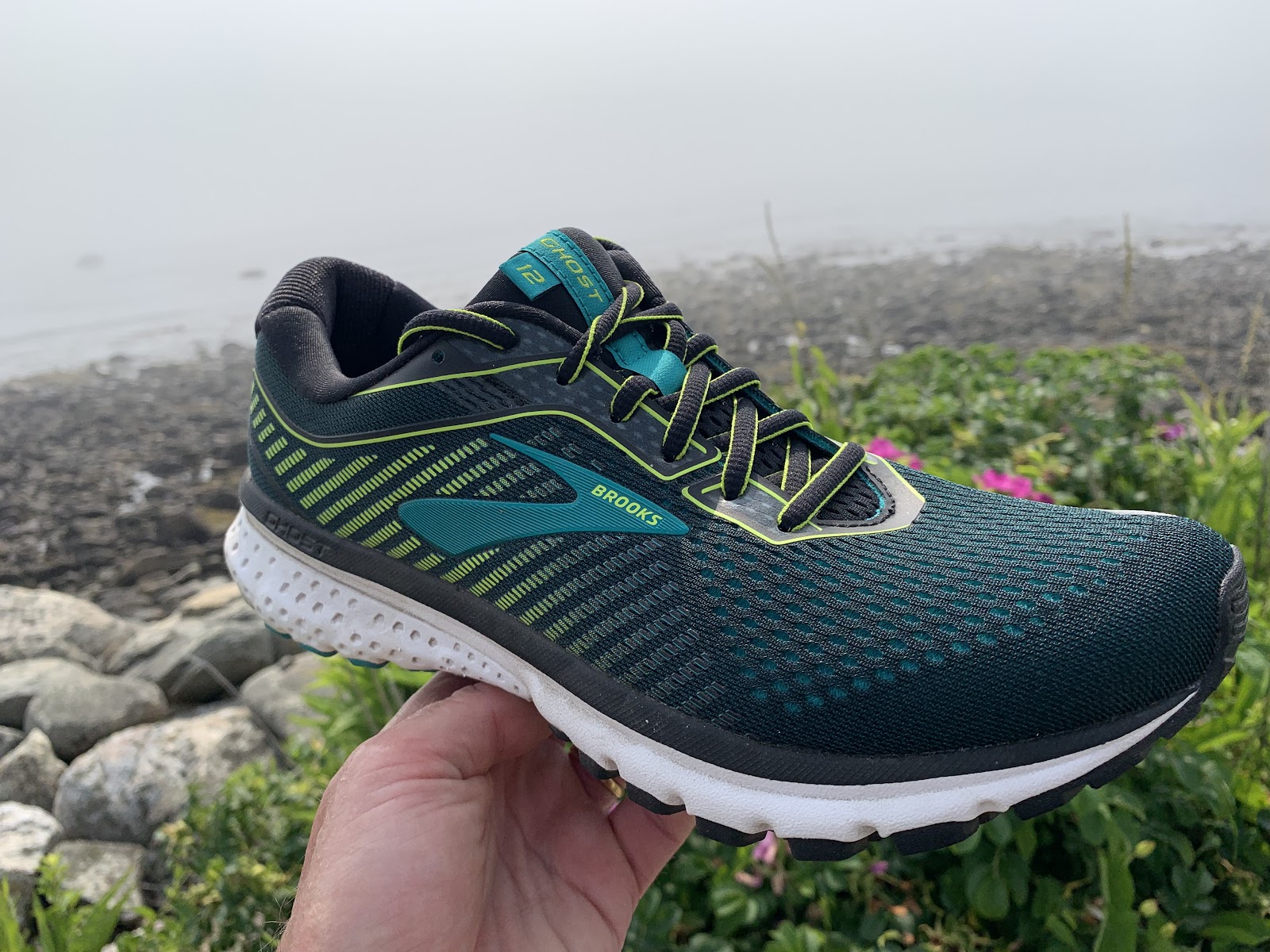 Lago taupo Posicionamiento en buscadores voltereta Road Trail Run: Brooks Running Ghost 12 Multi Tester Review- Ethereal  Upper, More Down to Earth Ride