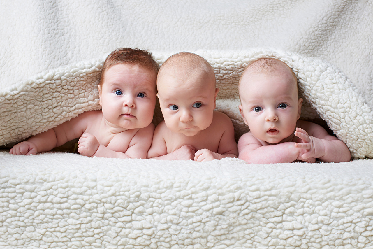 A group of babies lying on a bed

Description automatically generated with medium confidence