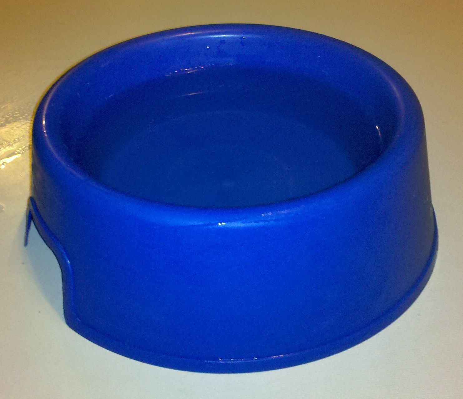 File:Dog Water Bowl.jpg - Wikimedia Commons