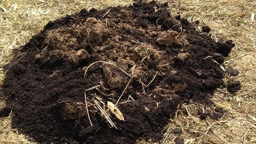 Add organic material to the soil