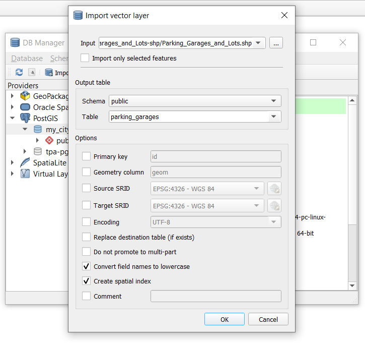 Dialog box displaying settings for "Import vector layer"