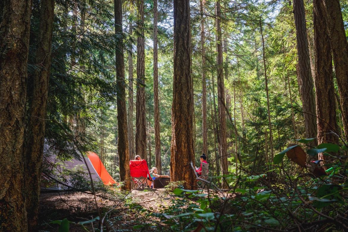 Why You Should Invest in Family-Friendly Camping Tents