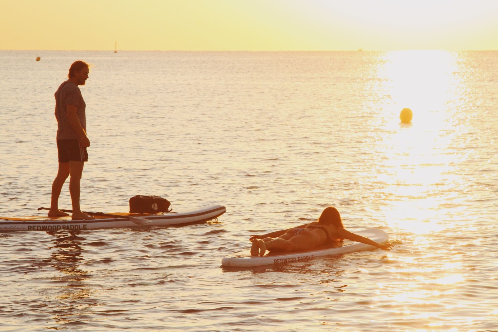 A man and a woman paddle boarding together at sunset.