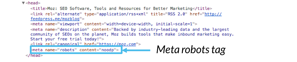 What Are Robots Meta Tags? Learn Technical SEO - Moz