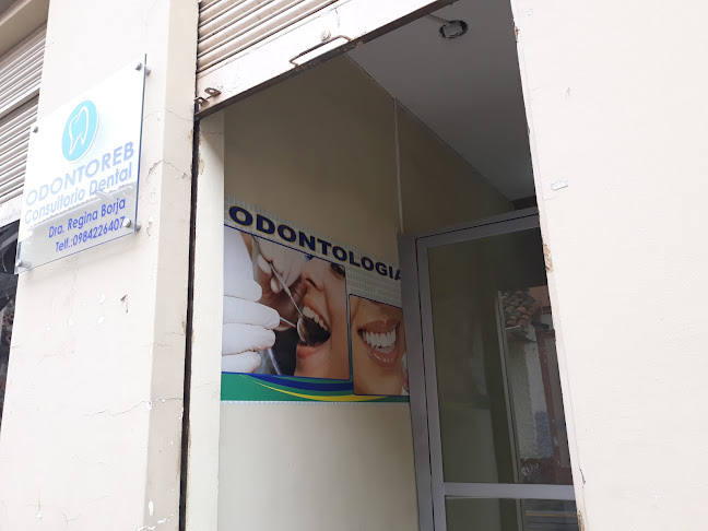 Odontoreb - Dentista