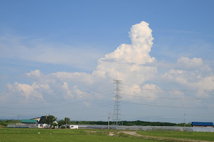 いい雲だったので