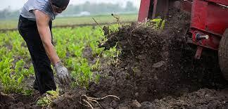 A person working in a field

Description automatically generated with low confidence