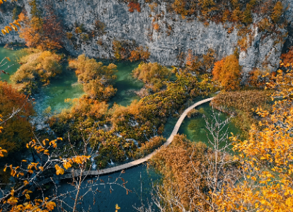 A képen fa, fű, kültéri, növény látható
Automatikusan generált leírás