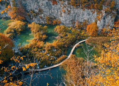 A képen fa, fű, kültéri, növény látható

Automatikusan generált leírás