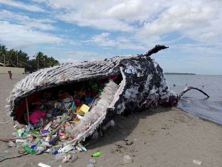 Image result for pollution