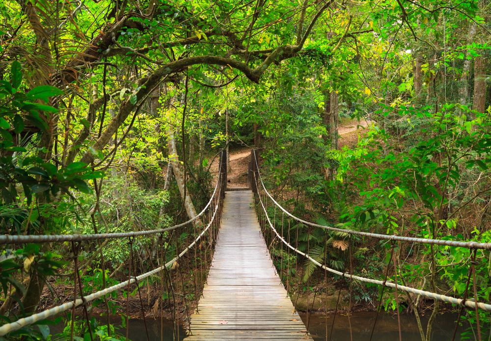 khaoyainationalpark.jpg