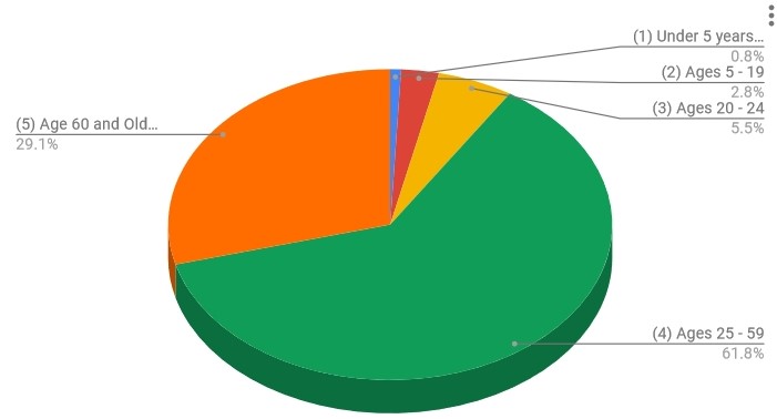 pie chart that shows most consumers are working age.