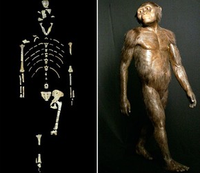 À esquerda vestígio de hominídeo fêmea encontrada na Etiópia, um país africano. Trata-se de um esqueleto chamado pelos cientistas de Lucy. Ela teria vivido há cerca de 3 milhões de anos. À direita é a reconstituição de como seria a aparência de Lucy, feita por pesquisadores da Universidade do Texas. Estados Unidos.