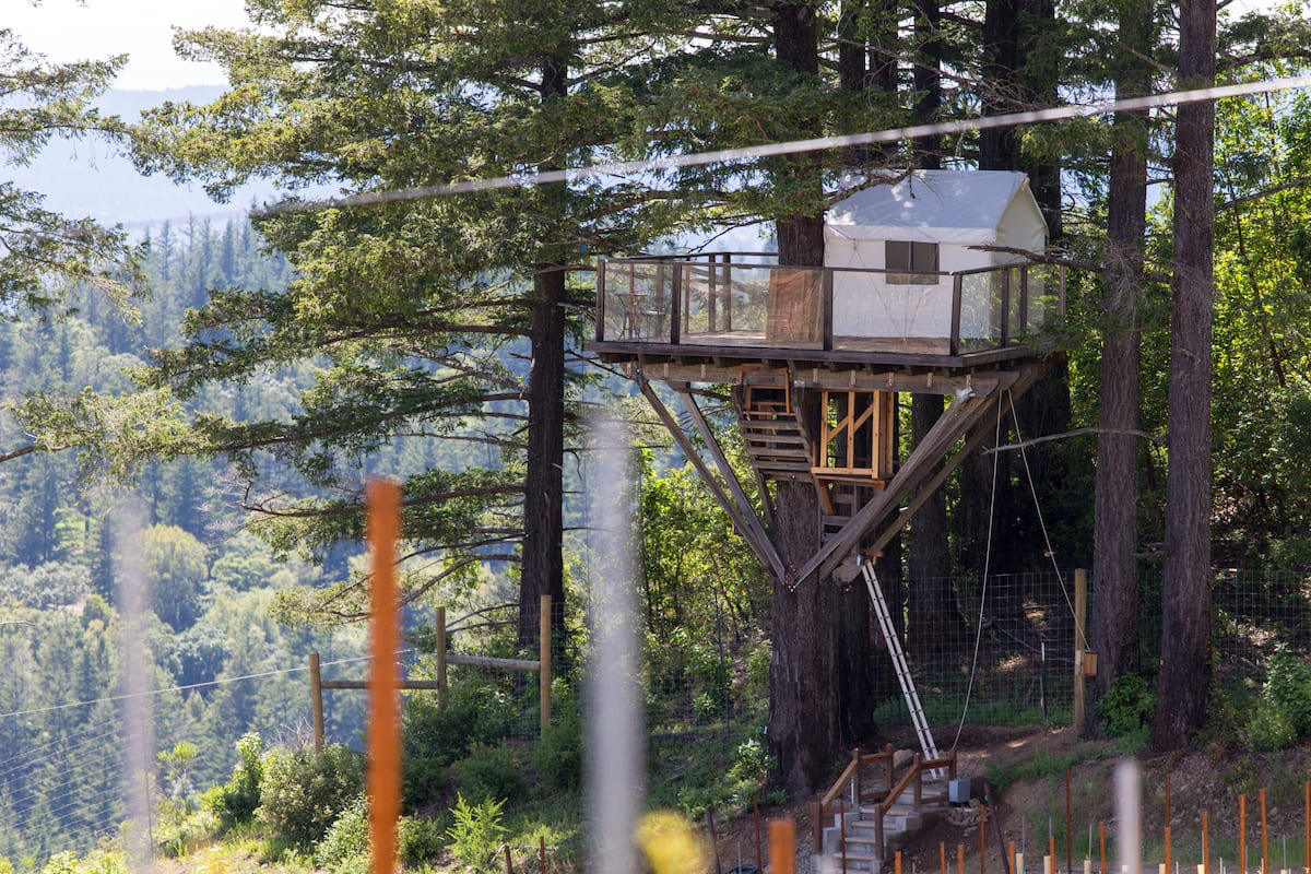 Treehouse in Vineyard Overlooking Monterey Bay - Best Glamping Hub Airbnb in Los Gatos