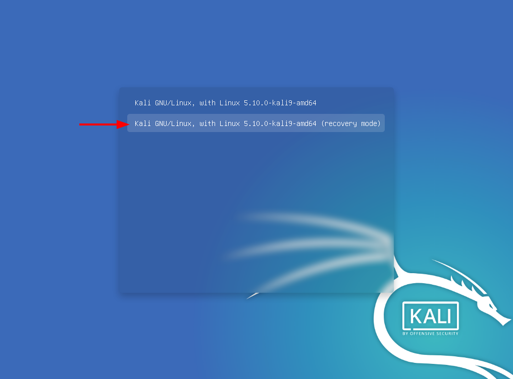 Kali Linux Recovery Mode. Source: nudesystems.com