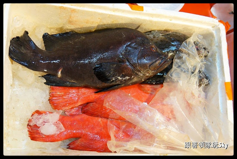 墾丁美食推薦-後壁湖 生魚片份量大又便宜【輝哥生魚片】