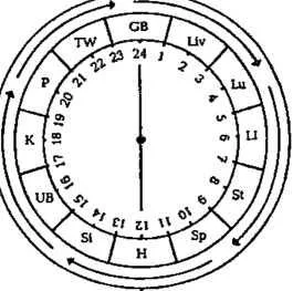 D:\0 wd yedek\acr yedek\1 film indirme\encyclopedia_symbols_roshal\encylopedia_files\000372.jpg