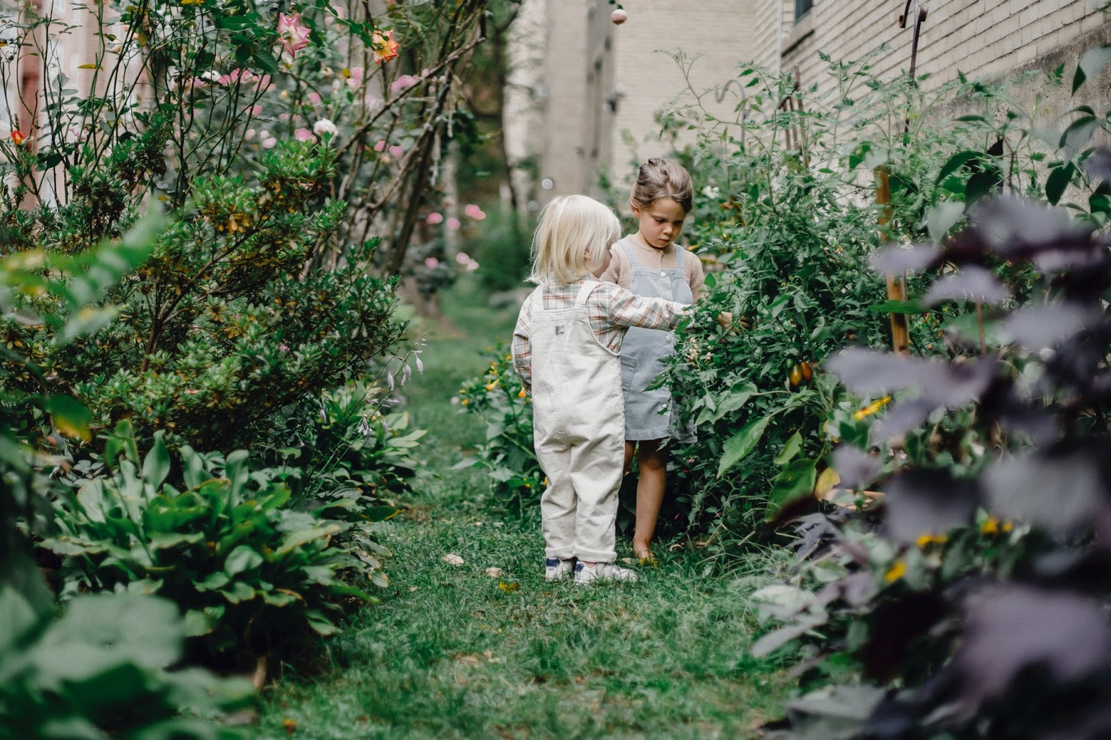 Two children in a garden 
