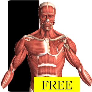 Bug Fix Visual Anatomy Free apk Free