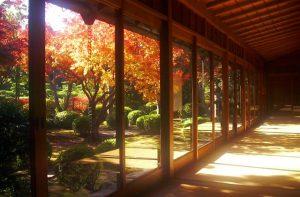 https://liburankejepang.com/wp-content/uploads/2020/06/Ohori-Park-Japanese-Garden-image-credit-by-Yokanavi-300x197.jpg