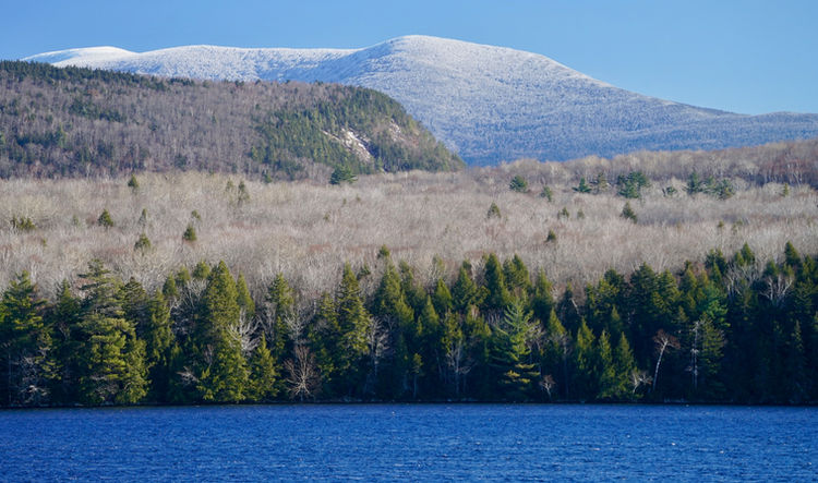 Mountain pond in the Green Mountain National Forest