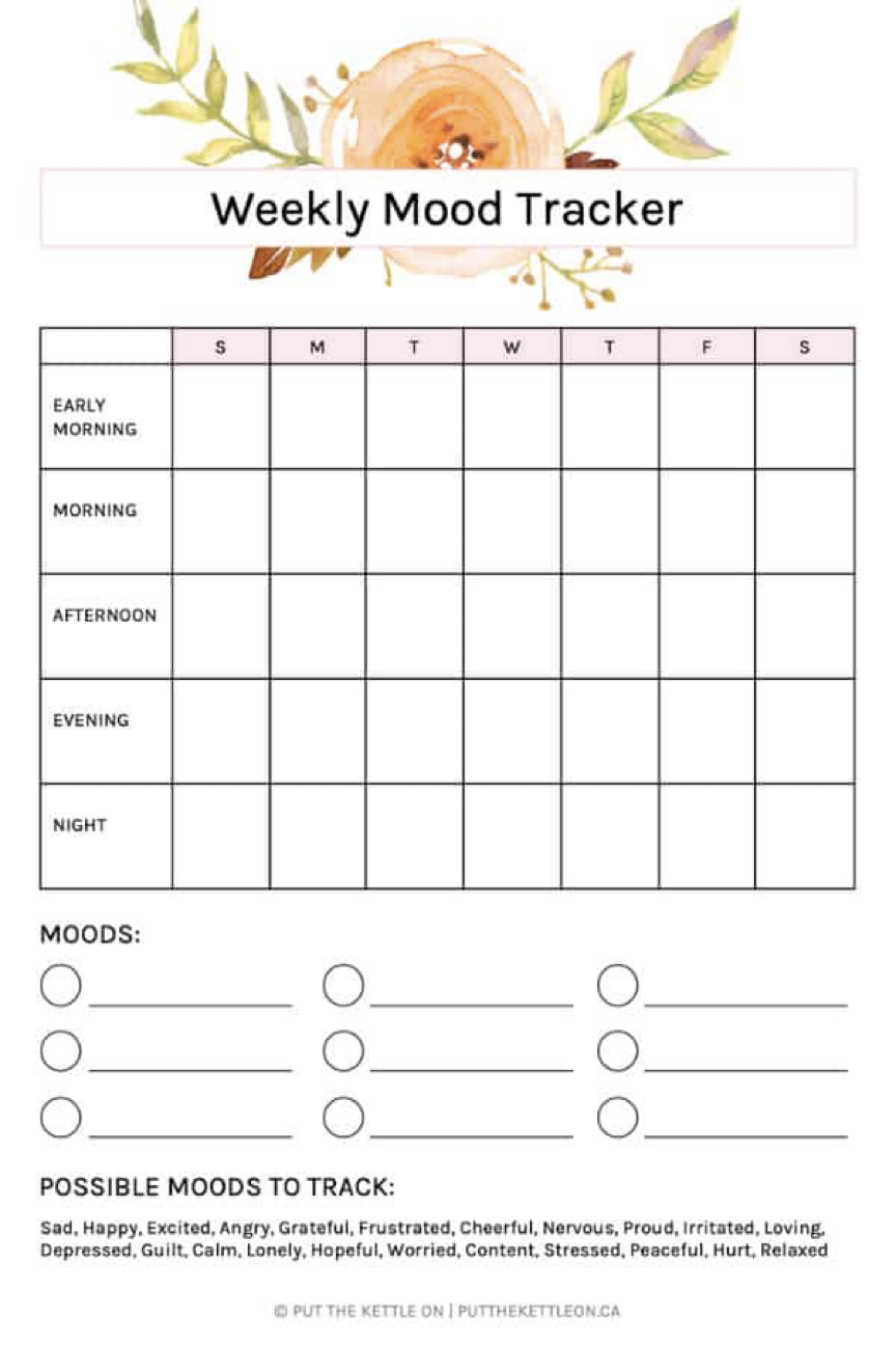 2 Stress Tracker Bujo Journal Printables, Stress Tracker Printables,  Anxiety Tracker Journal, Mental Health Planner, Stress Management PDF 